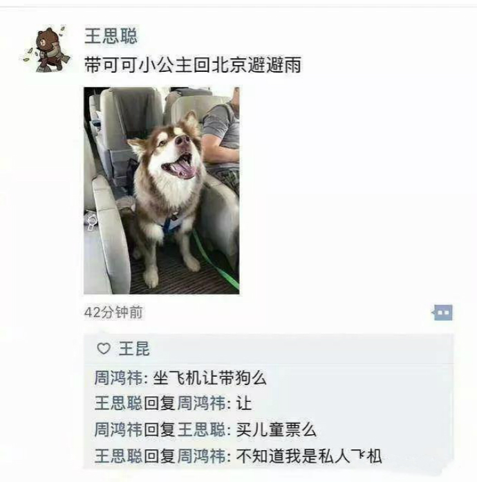 王可可