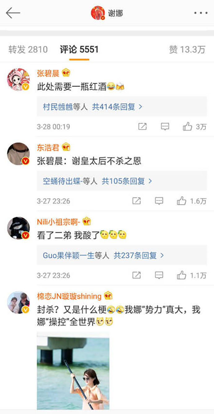 网友评论谢娜微博