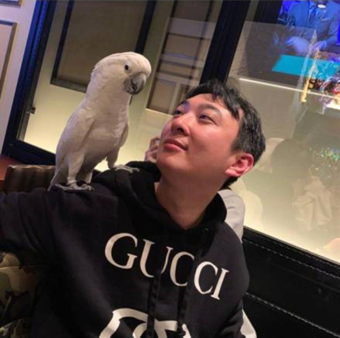 王思聪鹦鹉