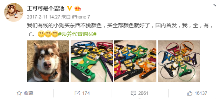 王思聪可可