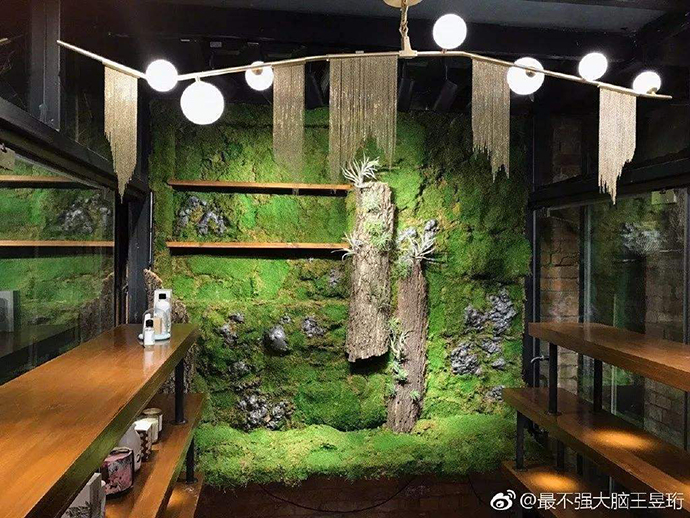 水哥王昱珩的家