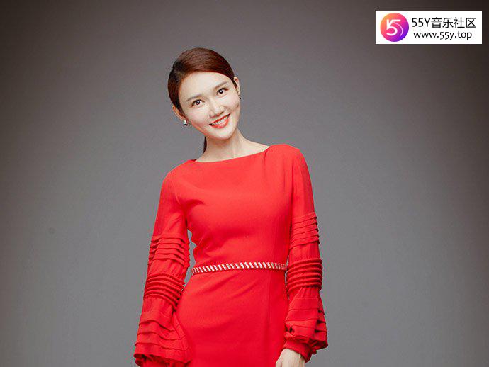 央视主持人龙洋实力如何