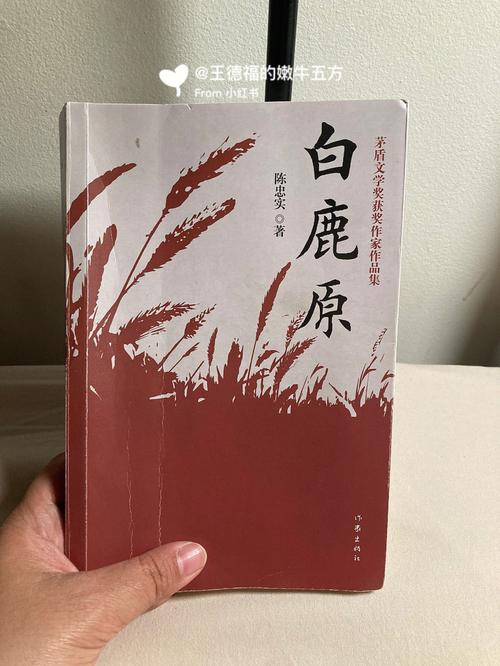 小说白鹿原大结局是什么