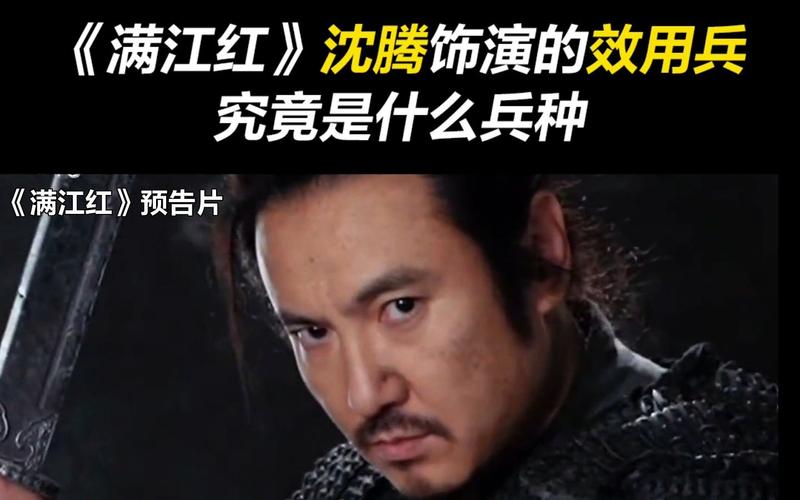 满江红沈腾用的什么刑