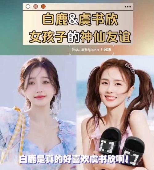 虞书欣和白鹿认识吗