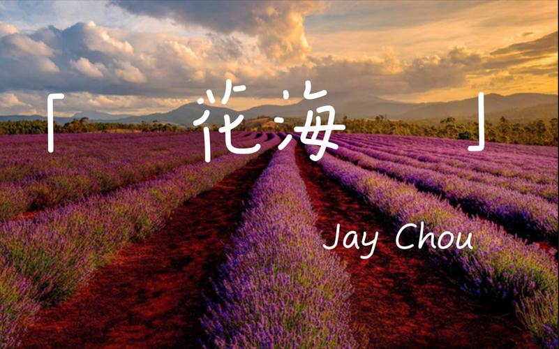 周杰伦花海表达的意思 歌曲花海的意思