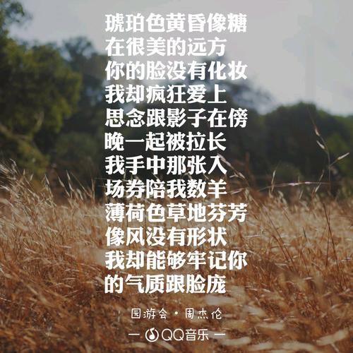 园游会歌词歌词是什么意思 园游会是写给谁的