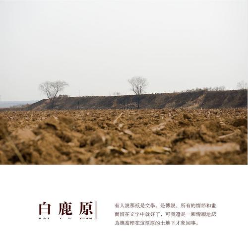 白鹿原经典语句有哪些呢 白鹿原中朱先生的名言