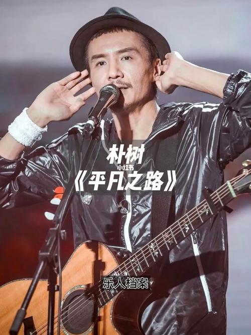 朴树评价西城男孩平凡之路 朴树唱在路上是那一首歌