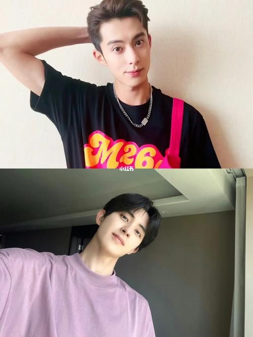 王鹤棣和敖瑞鹏为什么长得一样呢 唐弋婷与敖瑞鹏最后在一起了吗