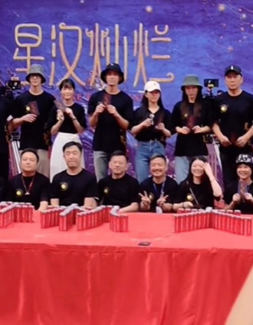星汉灿烂导演拍过什么电视剧 拍电影拍电视剧哪个赚钱多