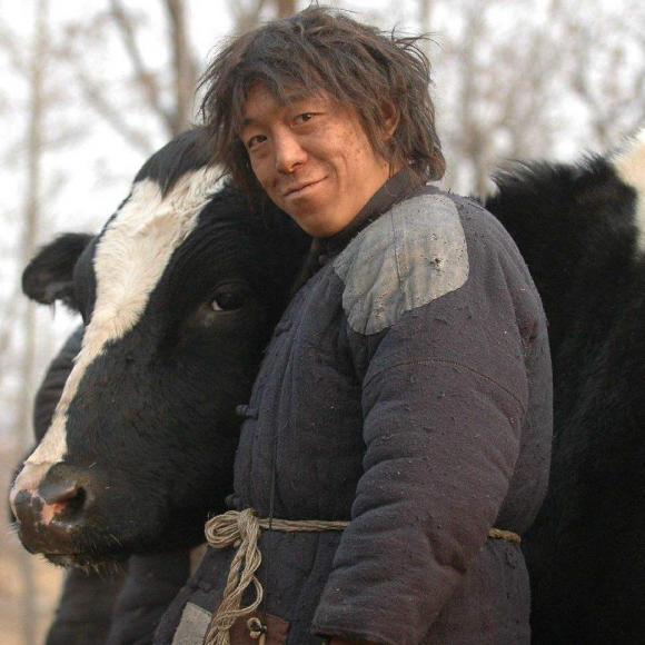 黄渤斗牛到底想表达什么 林志玲表白黄渤是真的吗吗