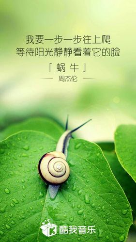 为什么周杰伦说《蜗牛》不是自己的歌曲(周杰伦《蜗牛》的歌词是什么)