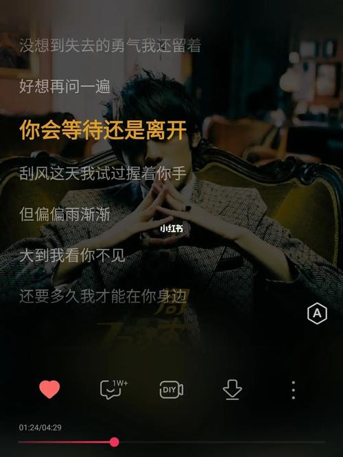 你会离开还是等待是什么歌曲(执着的等待舍不得离开是什么歌曲)