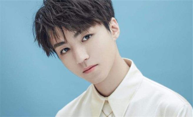 王俊凯详细资料大全(王源个人资料大全详细)