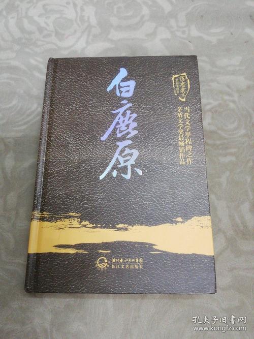 白鹿原小说写得是什么地方的故事(书《白鹿原》讲了什么)
