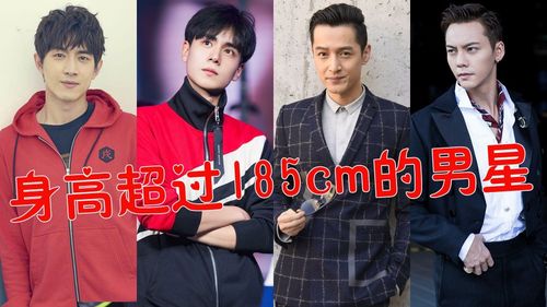 185的男星有哪些(185身高男星)