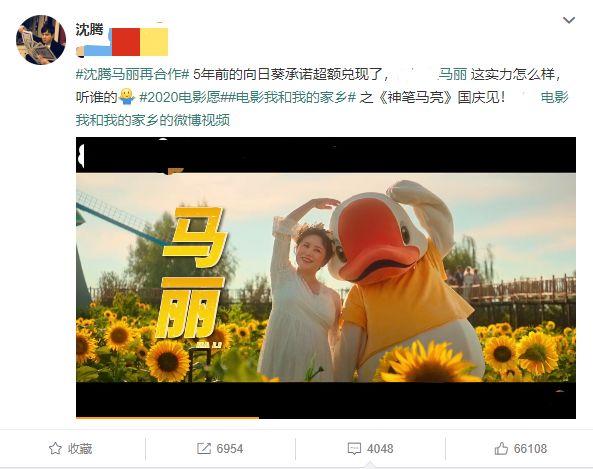 神笔马良沈腾马丽上映了吗(沈腾马丽饭局的诱惑哪期)