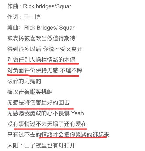 廿歌词是王一博写的吗(不忘王一博歌词解析)