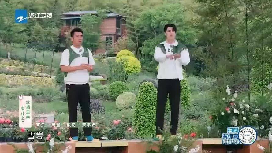 王鹤棣郑恺一起演的戏叫什么(王鹤棣的真实背景图)