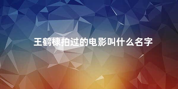王鹤棣拍过的电影叫什么名字(王鹤棣的真实背景图)
