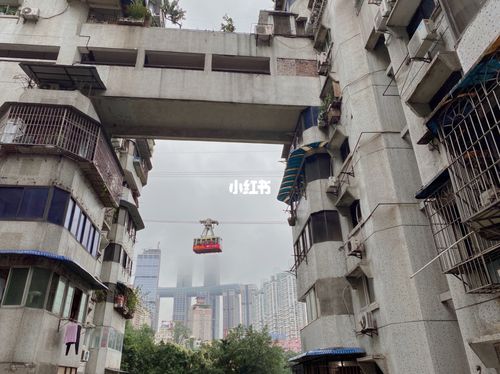 白象居附近哪里有好玩的地方(乐清柳市白象有什么好玩的地方吗多少钱)