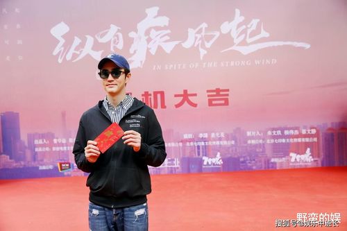 纵有疾风起导演是谁(纵有疾风起宋佳为什么出卖靳东)
