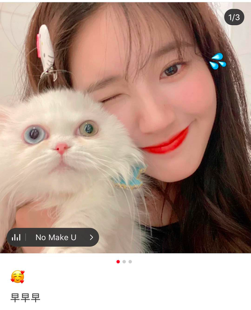 赵露思的猫是什么品种(关晓彤的宠物猫叫什么名字)