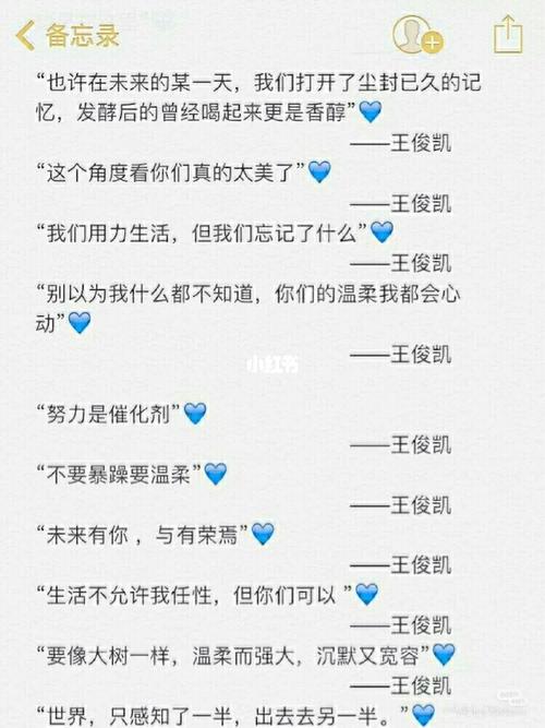 王俊凯说过的励志的话英文(王俊凯名言)