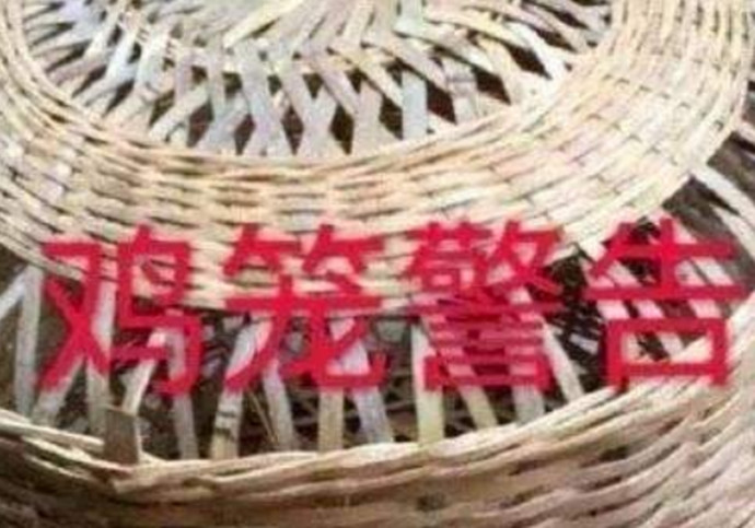 把你塞进鸡笼照片