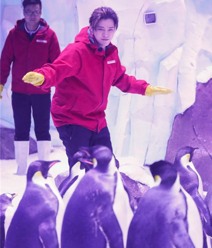 观察海洋生物