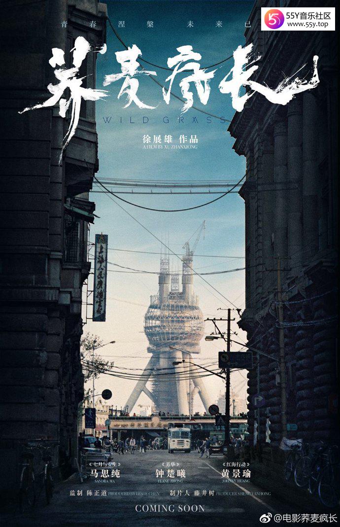 《荞麦疯长》电影讲的什么