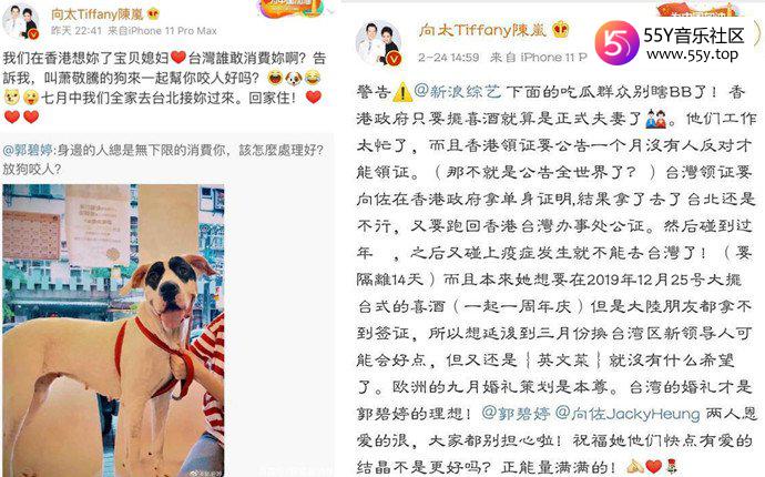 向太安慰郭碧婷