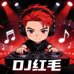 dj红毛
